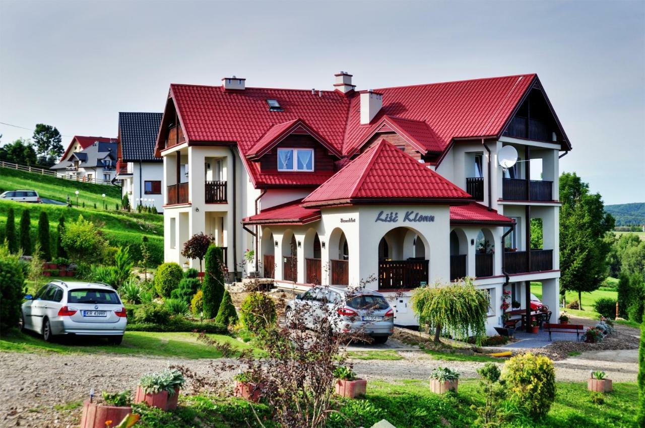 Lisc Klonu Apartment Polańczyk Exterior foto